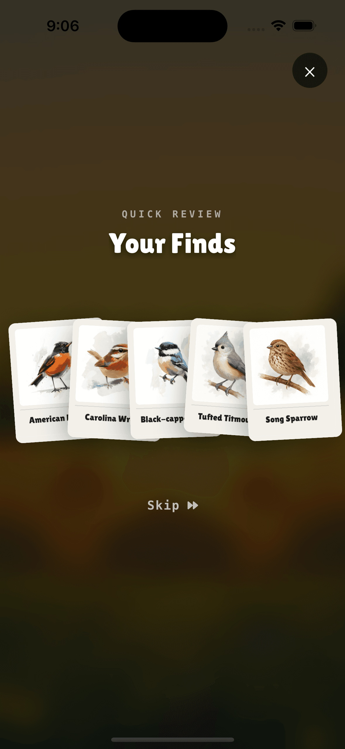 Learn Bird Sounds at Home With Learning Journeys