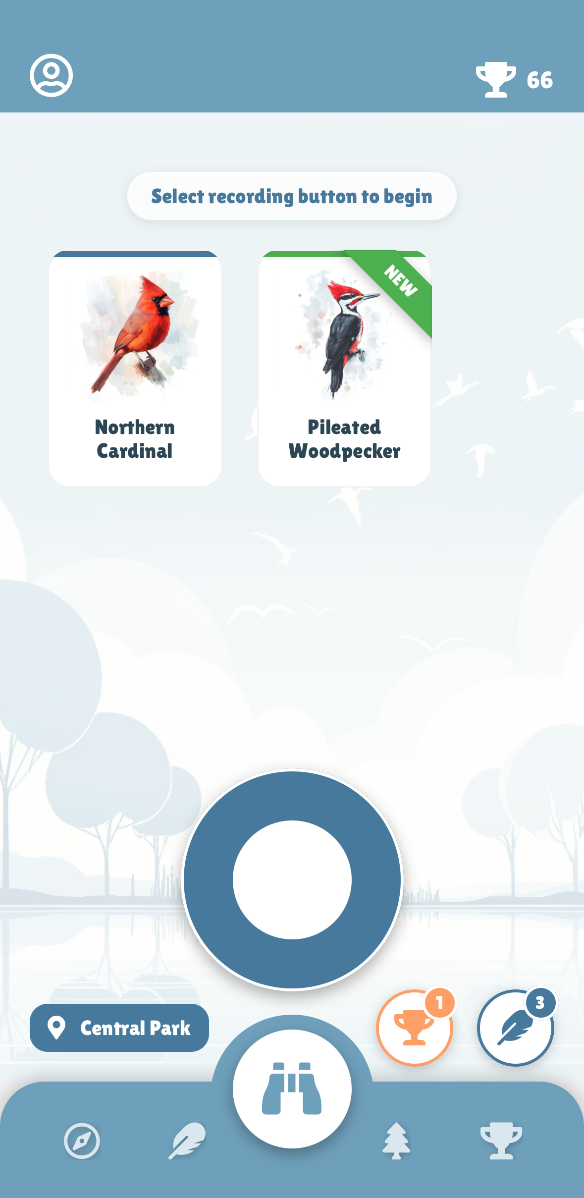 Bird identification screen