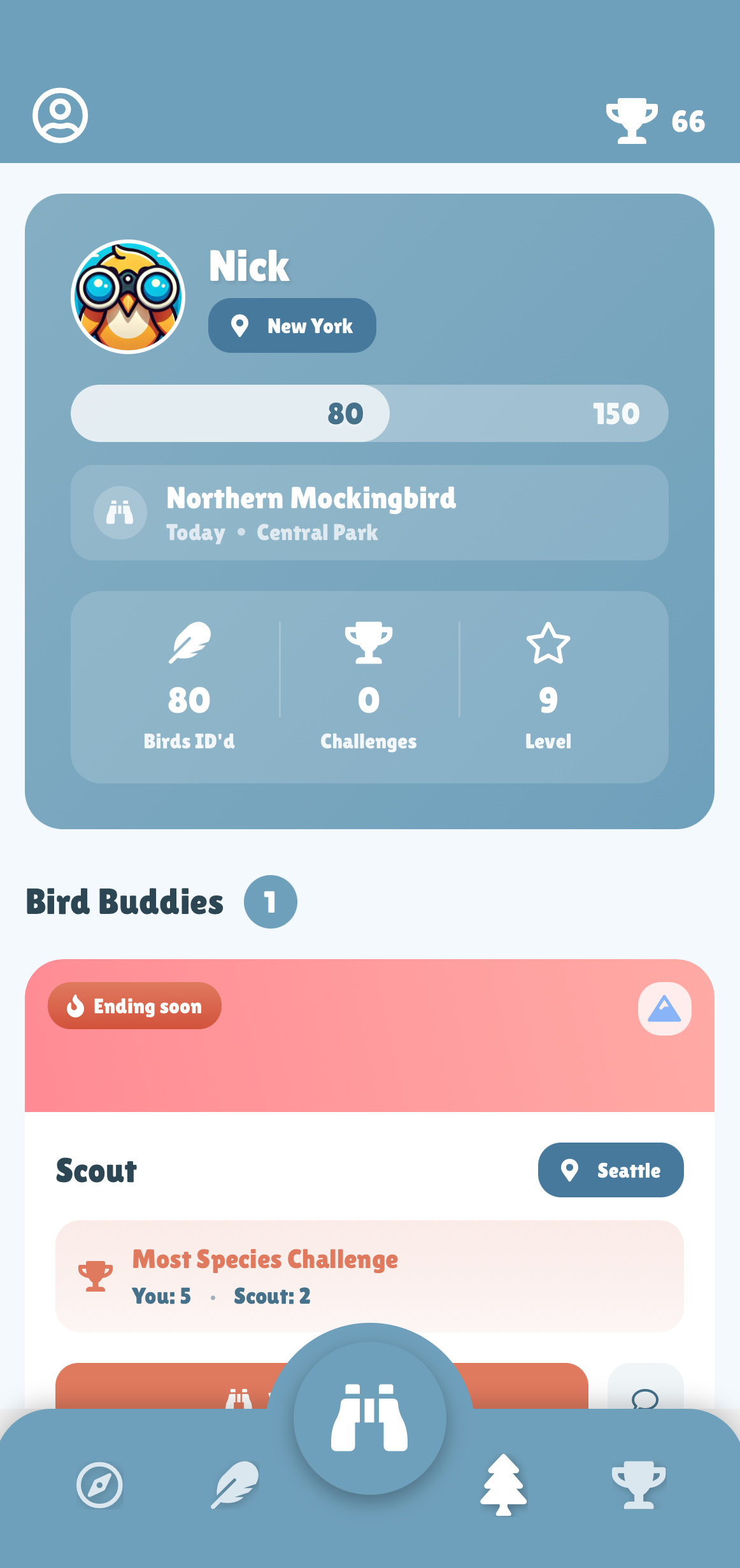 Bird collection screen